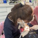 꿈꾸는치과의원 이미지