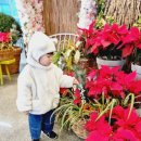 허브밸리(암석원) 이미지