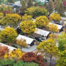 화랑어린이집 이미지