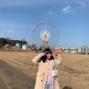 멜로페(MELOPE)