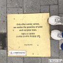 도피오커피 일산백병원점(이마트24) | [대전 근교 여행] 국립세종수목원 사계절 전시온실(국내 최대) 방문 후기