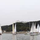요트코리아 머니투데이