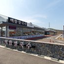 카페푸른초장 | 대부도 가볼만한곳 우이며녹 구봉도 대부도 카페