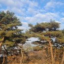 형제행정사 이미지