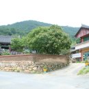 금성중학교 화장실 이미지