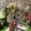 여주 멍스타 | 인덕원 꽃집 추천 | 웨딩촬영 부케 하루전 주문 가능한 가성비 꽃다발 하롯샘에 꽃필때