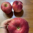 바람부리애플700 이미지