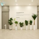 진심장혈관흉부외과의원 이미지