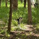 이마트에브리데이 부산반여점 이미지