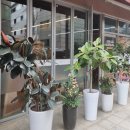 거마로7길 이미지