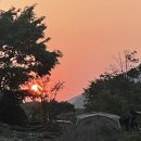 리라언니