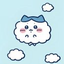 대바늘 뜨개 이미지