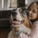 양천종합동물병원 이미지