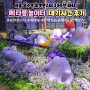 포켓몬스터 30주년파티 성수 메타몽 놀이터 팝업 후기 대기시간 창백카츄 인형 가챠 종류