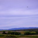 비에이(B/A) 이미지