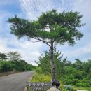 송라아쿠아 이미지