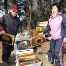 강정동-65 이미지