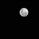 moon 이미지