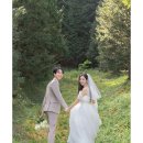 예쁜숲 이미지