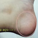 레몬소프트 이미지