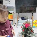 샘물향기 이미지