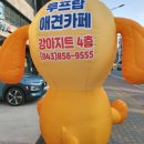 강아지트 이미지