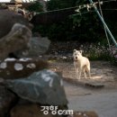 죽림마을 이미지