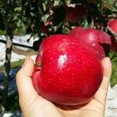 진선농장 이미지