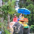 점보빌리지 이미지