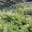 하누리농장 이미지