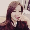 솔라씨