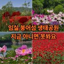 입석산장 | 2시간 만에 즐기는 임실 붕어섬 출렁다리 생태공원 추천 코스 따라 하세요