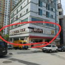 미인본가 이미지