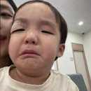 늘푸른연합의원 이미지