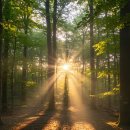 삼아세탁소 이미지