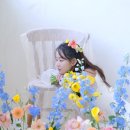 메이플레르