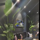 제주 노형 마사지 잘하는 곳 아르떼 아로마마사지 제주공항점 이용했어요