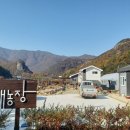 원애농장 이미지