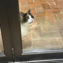 호텔화양강 이미지