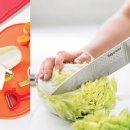 타파웨어 이미지