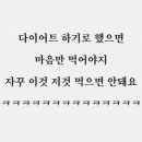 다양하개 이미지