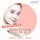 시선성형외과의원 네이버블로그