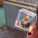 보드레커피 - 성남시 분당구 판교역로 230 | 보드레커피