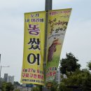 동화정육점 | 베스트셀러 동화를 무대에서! 누가 내 머리에 똥 쌌어? 어린이 뮤지컬 관람 후기