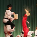 우리나라 태권도 이미지