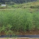 연곡보건진료소 이미지