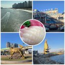 지난 주말. 소래포구에서 이미지