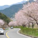 푸른 발전소 이미지