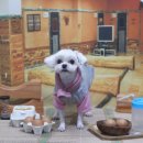 삼정회관 이미지