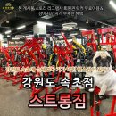 속초스트롱짐 | 헬토피아_ 강원도 속초 스트롱짐: 시설 가격 후기, 속초시 헬스장 피티(PT) 맛집, 가볼만한 곳 추천...